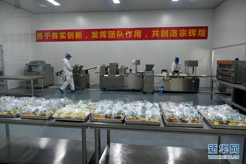 西藏洛隆 以青稞深加工技術開發，鋪就高原特色產業增收路