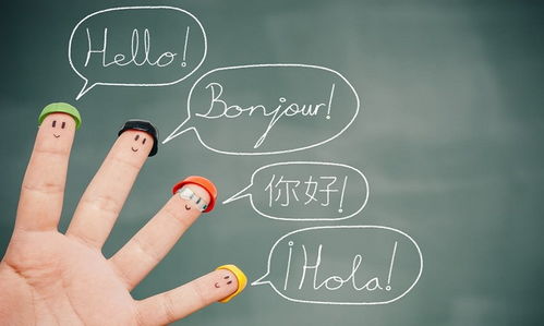 深圳無線產品英譯烏克蘭語說明書完成，海外譯員僅用兩天效率交付